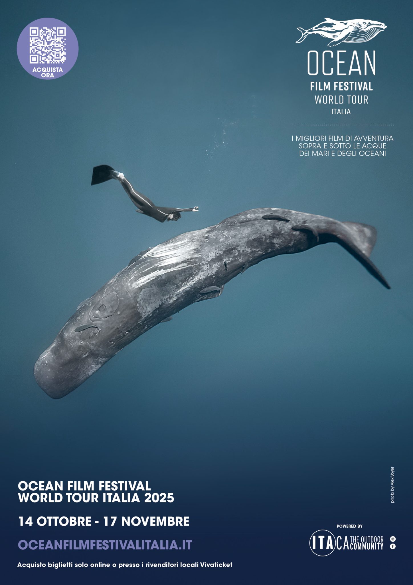 Ocean Film Festival