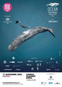Ocean Film Festival